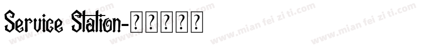 Service Station字体转换